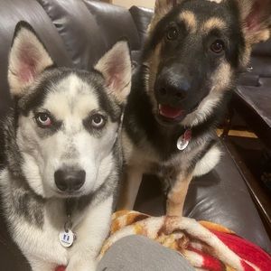 Meet your Posher, Saloney